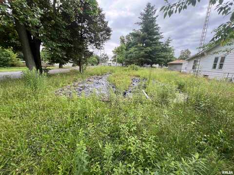 218 E ELM Street, Zeigler, IL 62999