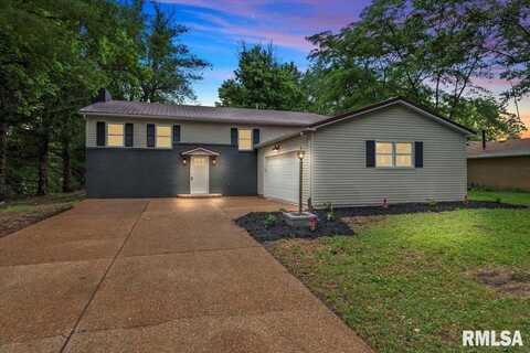 20 Covered Bridge Acres, Glenarm, IL 62536