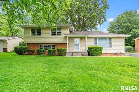 525 Sattley Street, Rochester, IL 62563