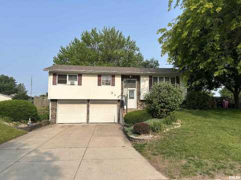 313 WILSHIRE Drive, Colona, IL 61241