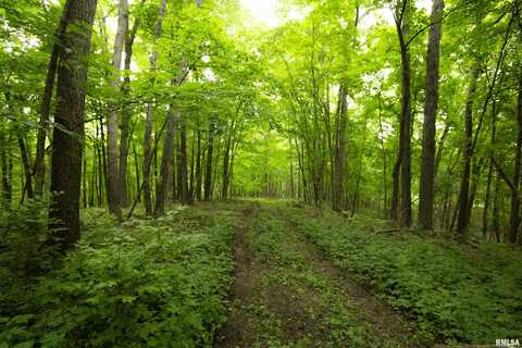 0000 W TIMBER Road, Mapleton, IL 61547