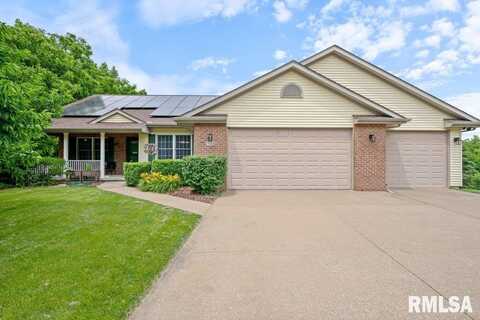 325 WOODLAND Drive, Andalusia, IL 61232