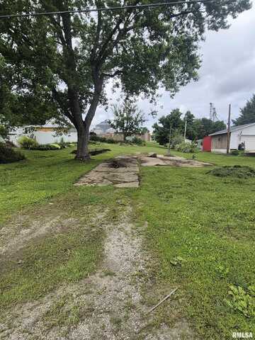 317 W MAIN Street, Pleasant Plains, IL 62677