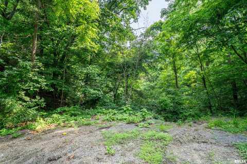 #8 W HARP HOLLOW Road, Peoria, IL 61607