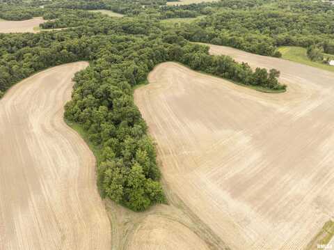 000 TODD SCHOOL Road, Glasford, IL 61533
