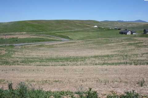 1491 Orville Boyd Road, Pullman, WA 99163