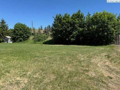 Tbd S Riverside Lane, Colfax, WA 99111