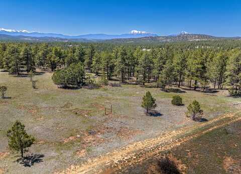 13583 Meadow Lark Dr, Weston, CO 81091