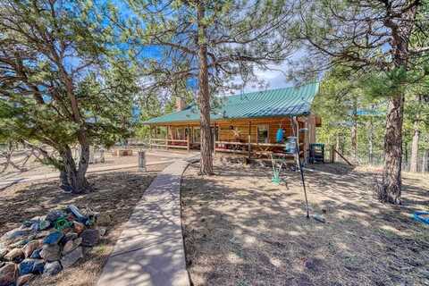 4701 County Rd 323, Westcliffe, CO 81252