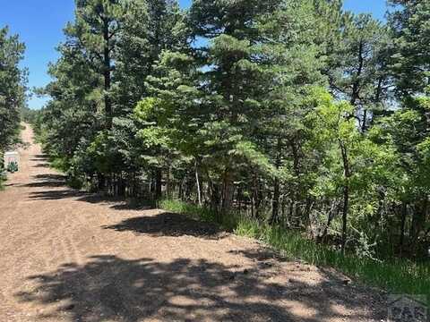 Charles Lane lot: 15, Rye, CO 81069