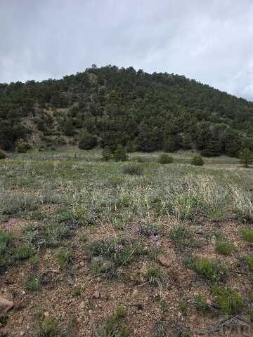 8099 County Rd 28, Cotopaxi, CO 81223