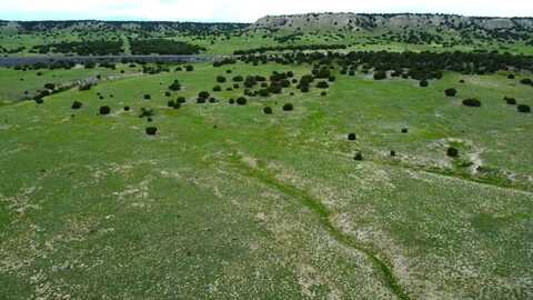 Locomotive Ct lot: 110, Rye, CO 81069