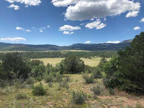 Rosebush Rd lot: 15, Canon City, CO 81212
