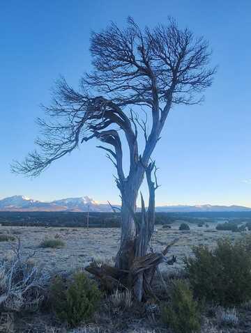 Choctaw Dr, Walsenburg, CO 81089