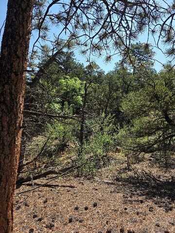 506 Kevin Dr, Cotopaxi, CO 81223