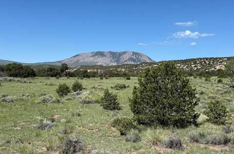 27 Colorado Land and Grazing, Gardner, CO 81040