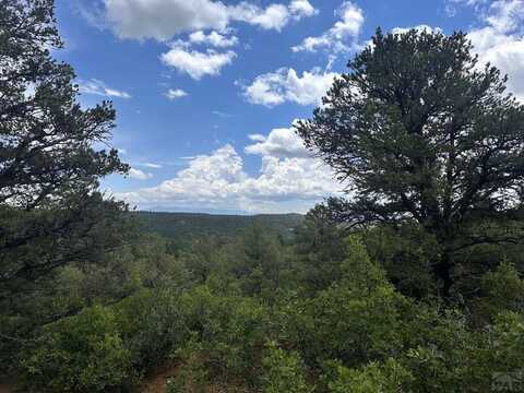 El Toro Way, Bon Carbo, CO 81082