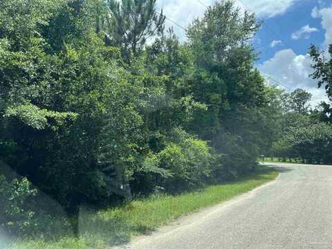 Lot 1 Pine Meadows Loop Rd, Pace, FL 32571
