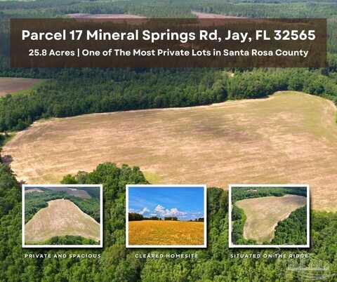 Parcel 17 Mineral Springs Rd, Jay, FL 32565