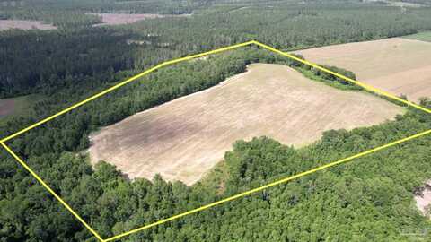 Parcel 17 Mineral Springs Rd, Jay, FL 32565