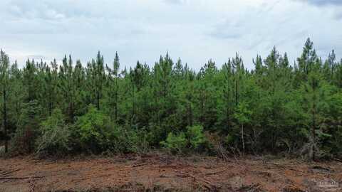 Lot 8 Pineview Church Rd, Jay, FL 32565