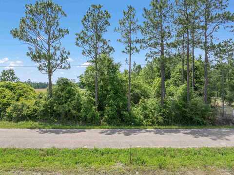 Lot 54 Mineral Springs Rd, Jay, FL 32565