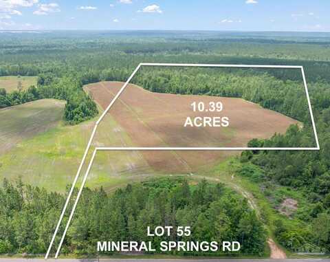 Lot 55 Mineral Springs Rd, Jay, FL 32565