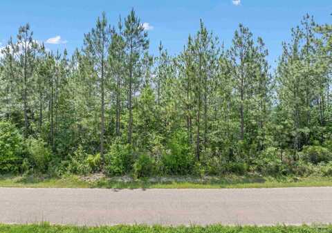 Lot 52 Mineral Springs Rd, Jay, FL 32565