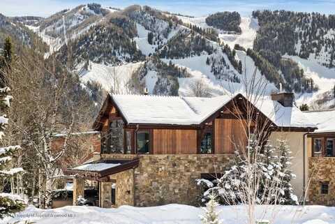 566 Race Street, Aspen, CO 81611