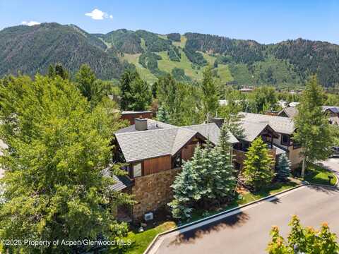 566 Race Street, Aspen, CO 81611