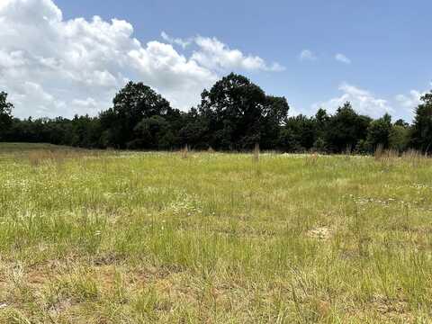 0 LEE RD, MURCHISON, TX 75778