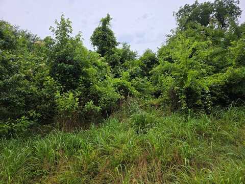 TBD An County Rd 3471, PALESTINE, TX 75803