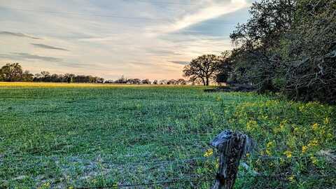 TBD FM 3224, PALESTINE, TX 75803