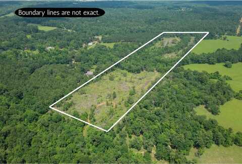 000 FM 837, PALESTINE, TX 75803