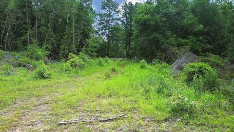 000 FM 837, PALESTINE, TX 75803