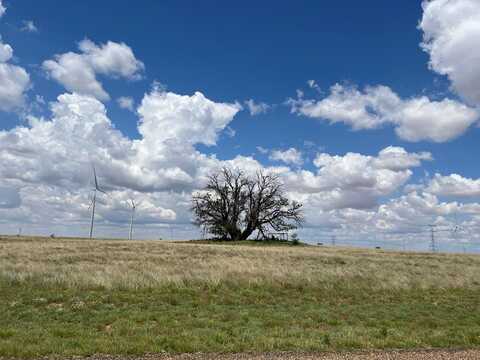 Round Top Road, Snyder, TX 79549
