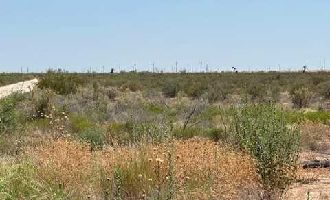 E Saltgrass St, Odessa, TX 79766