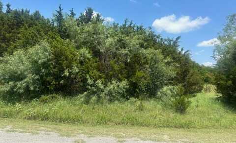 33059 Greenhills Dr, Whitney, TX 76692