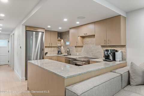 800 E Hopkins Avenue, Aspen, CO 81611