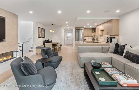 800 E Hopkins Avenue, Aspen, CO 81611
