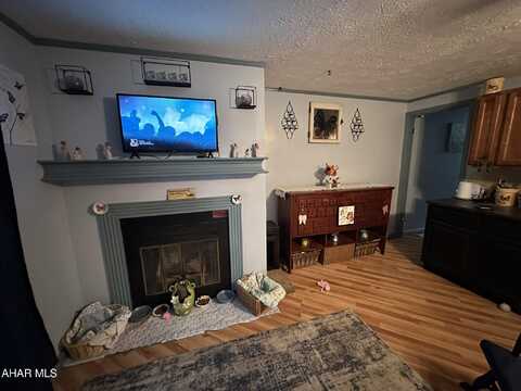 125 E Valley Point Lane, Claysburg, PA 16625
