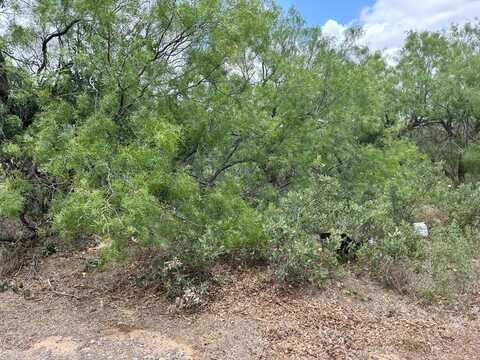 Watson, Colorado City, TX 79512
