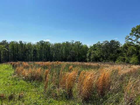 455 County Road 2213, Goshen, AL 36035