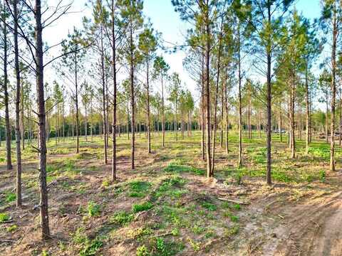 000 AL SR 223, Banks, AL 36005