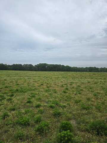 0 County road 2275, Goshen, AL 36034