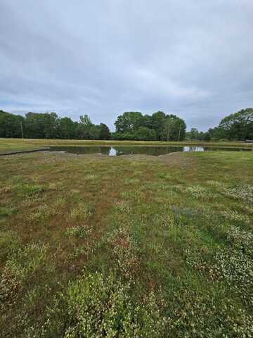 0 County road 2275, Glenwood, AL 36034