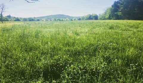 0 County Road 7, Moulton, AL 35650