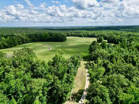 420 Comer Williams Roads, Brundidge, AL 36010
