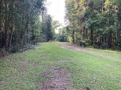 907 N Carter Rd, Luverne, AL 36049