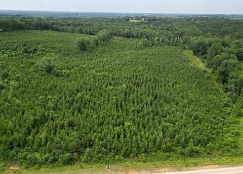 0 County Road 204, Ariton, AL 36311